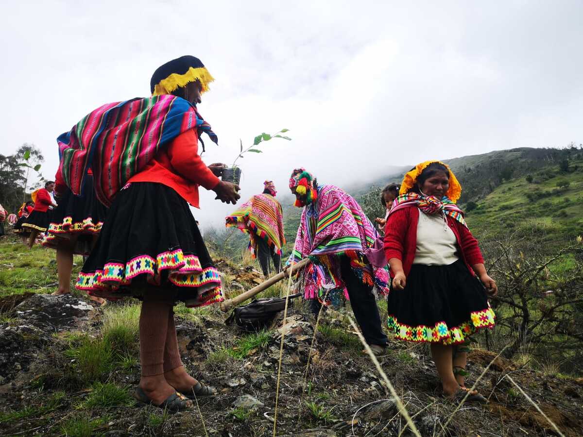 Community-reforestation-in-Jajahuana-community-Challabamba-Peru-in-ACCAs-project.-Feb-2023.-Credit_-Constantino-Aucca